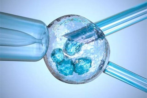试管婴儿取出的卵子有哪几种情况呢?