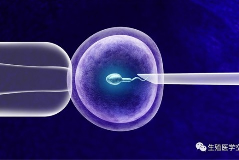 武汉做单周期试管婴儿大概要多少钱？武汉单周期试管费用明细？